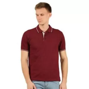 Polo Shirts for Men – Maroon and White tipped
