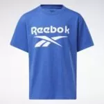 Reebok Men’s T-Shirts for Sports and Workout